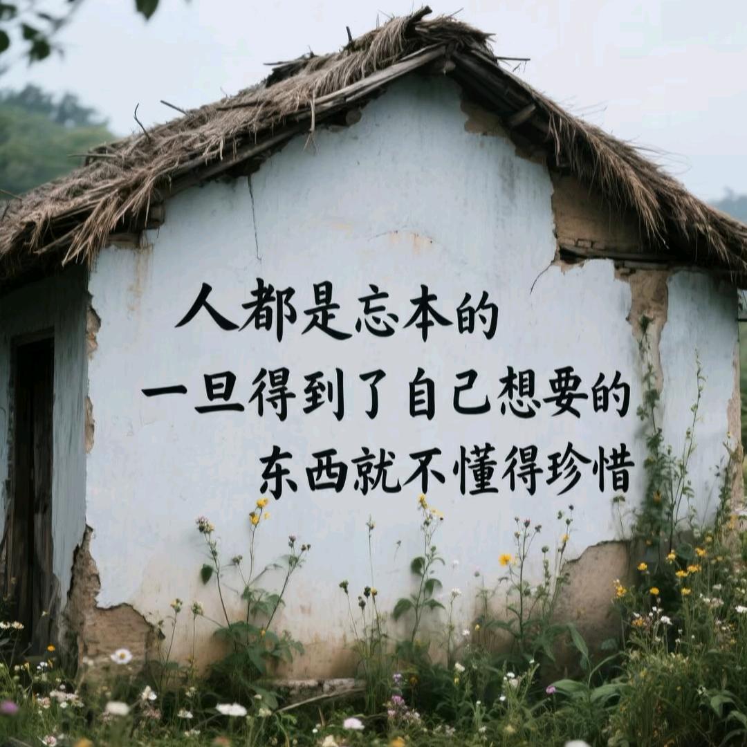 为我停留强哥
