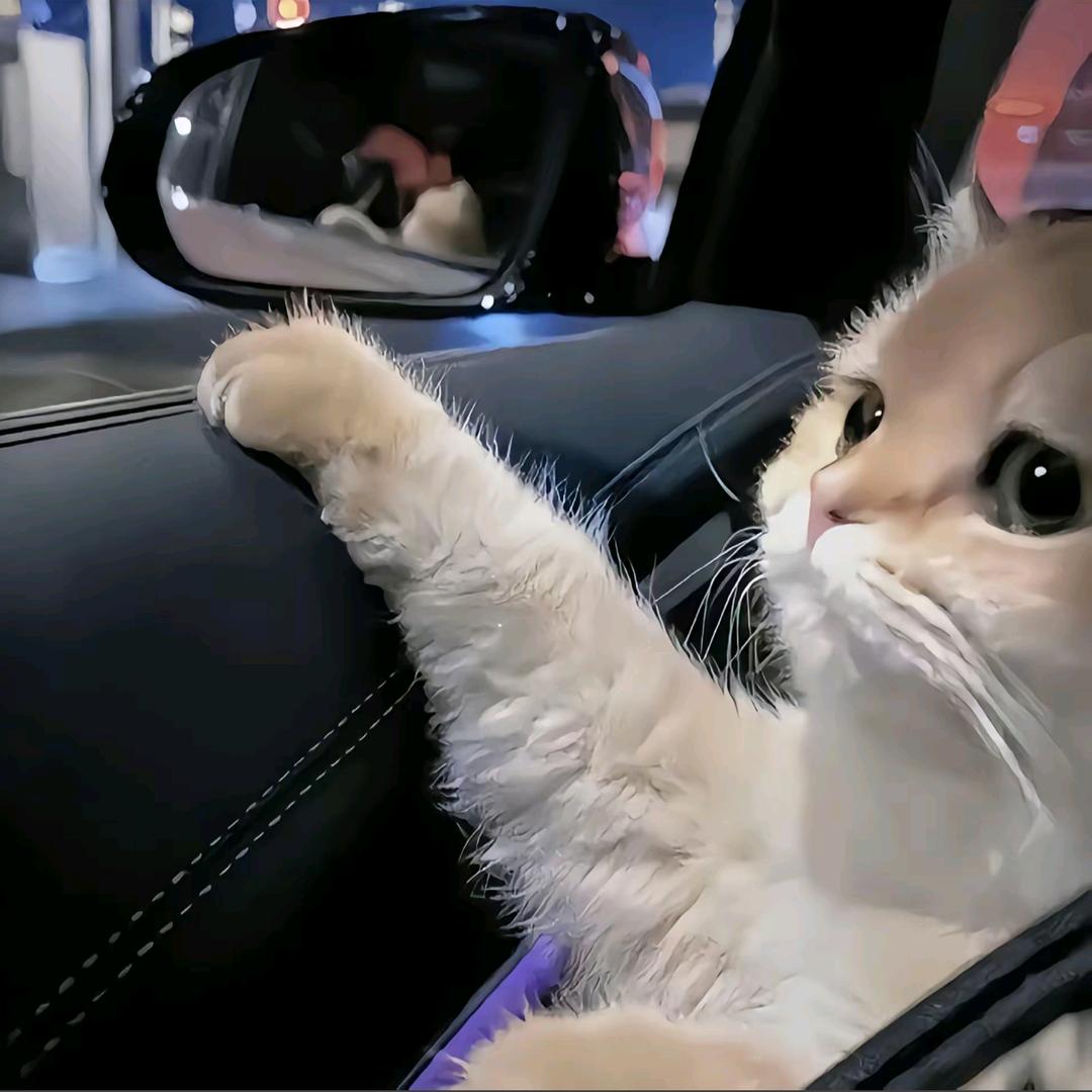 昭通旺嘉汽车