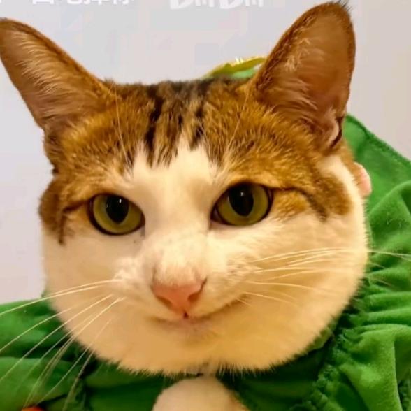 AAA神器批发奥恩