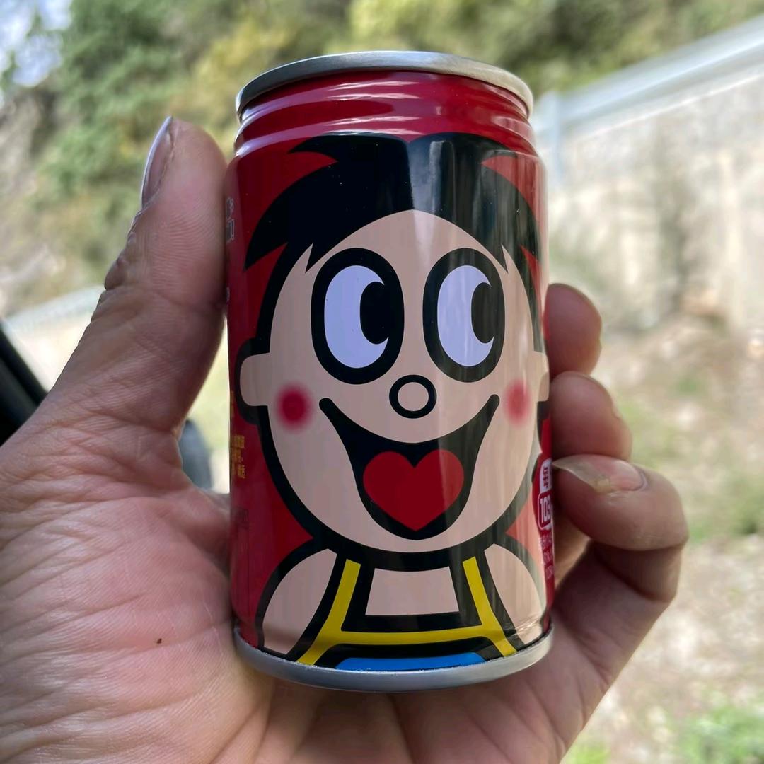 孤单终结者