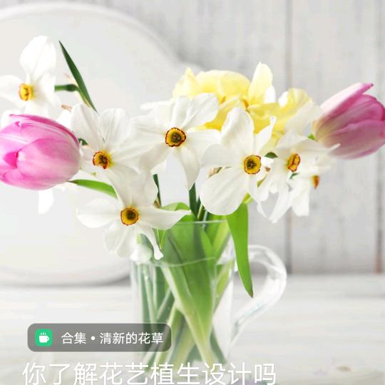 小张欣