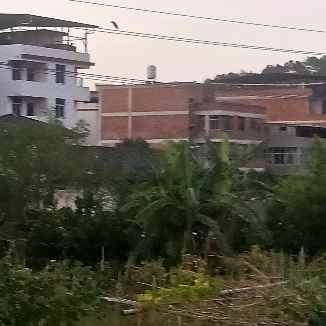 不乖