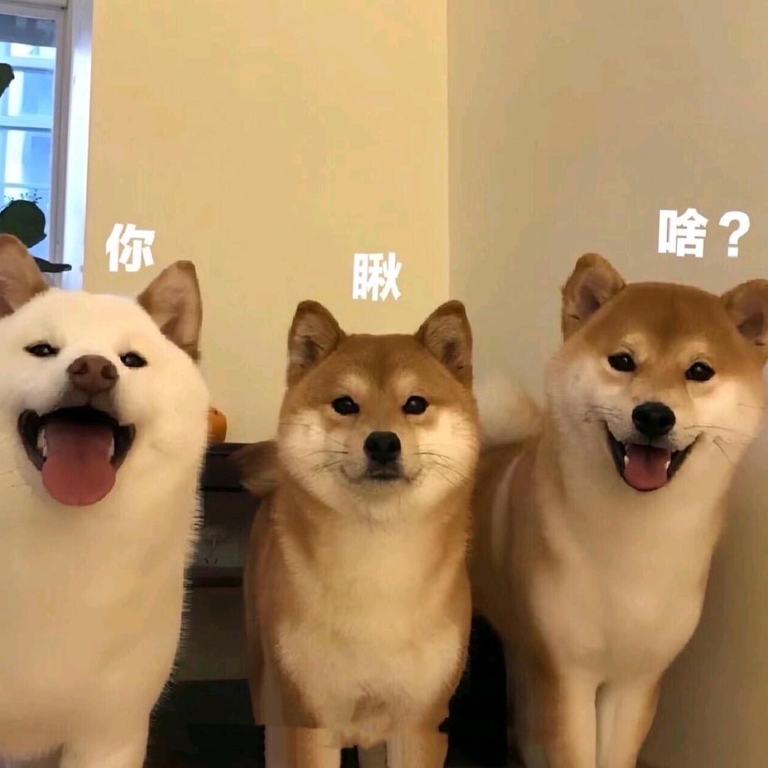 意犹.