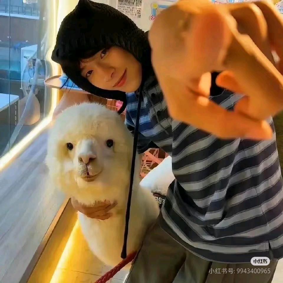 梦出