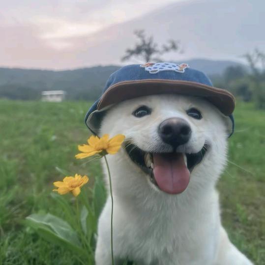 啧啧啧