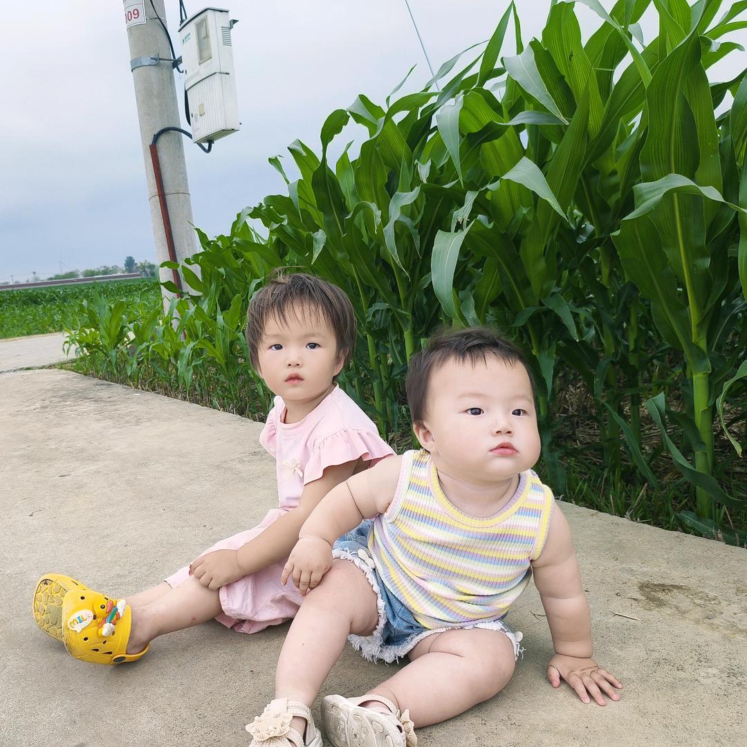 是团子糯米呀