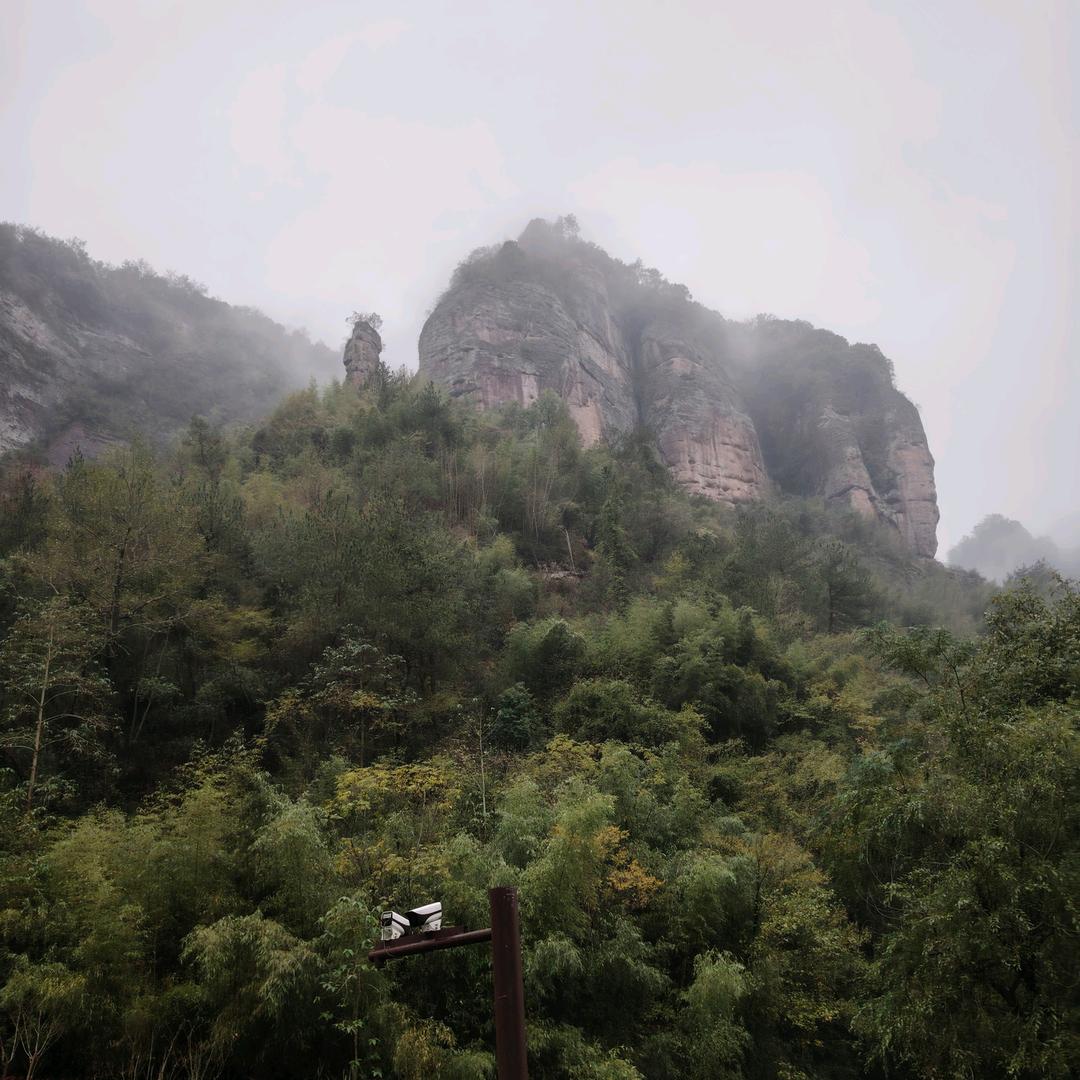 糖🍬小果
