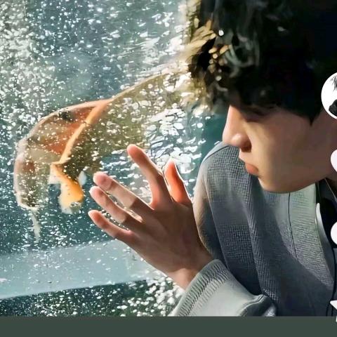 孤独的人