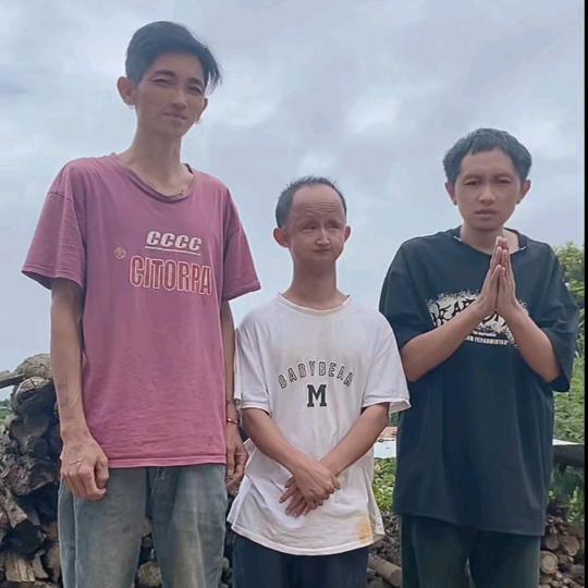 鸡老板（老品种土鸡）