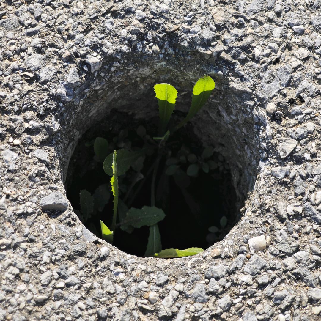 长戚戚