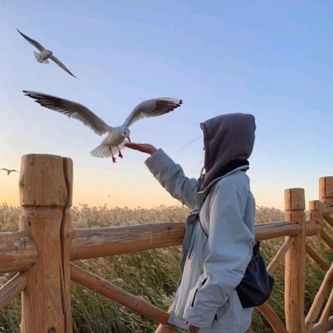 💕格局💝为道💗