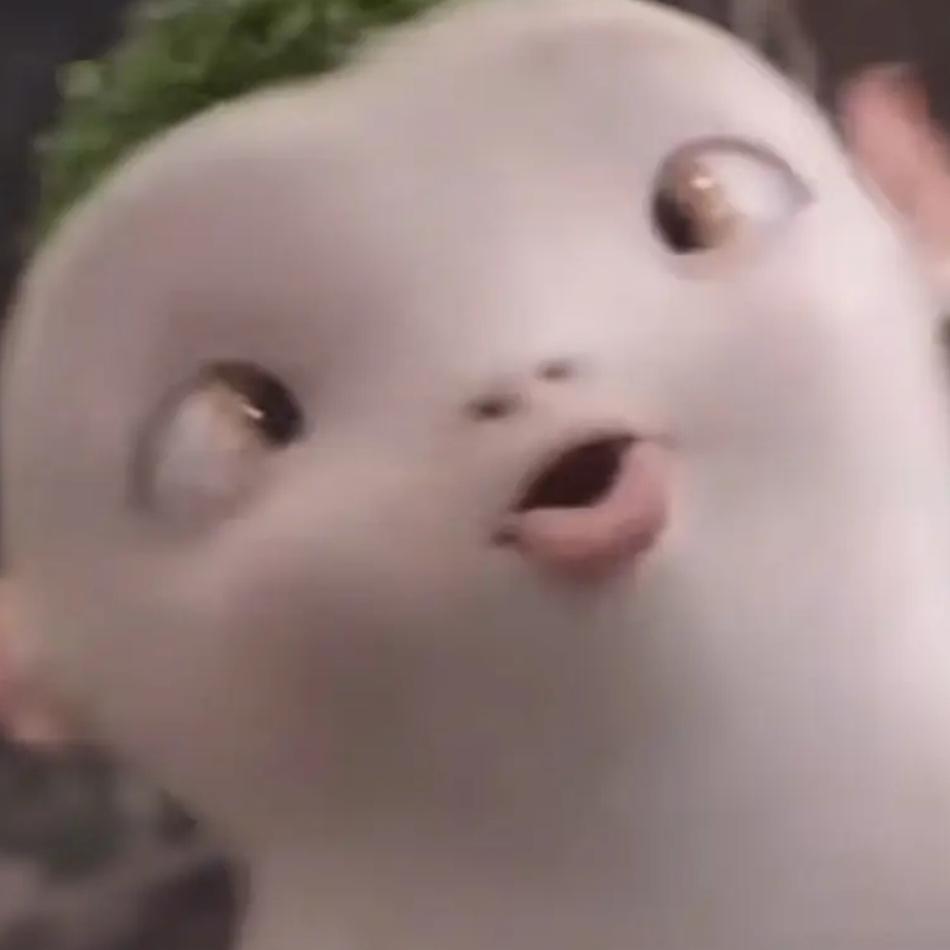 胡巴
