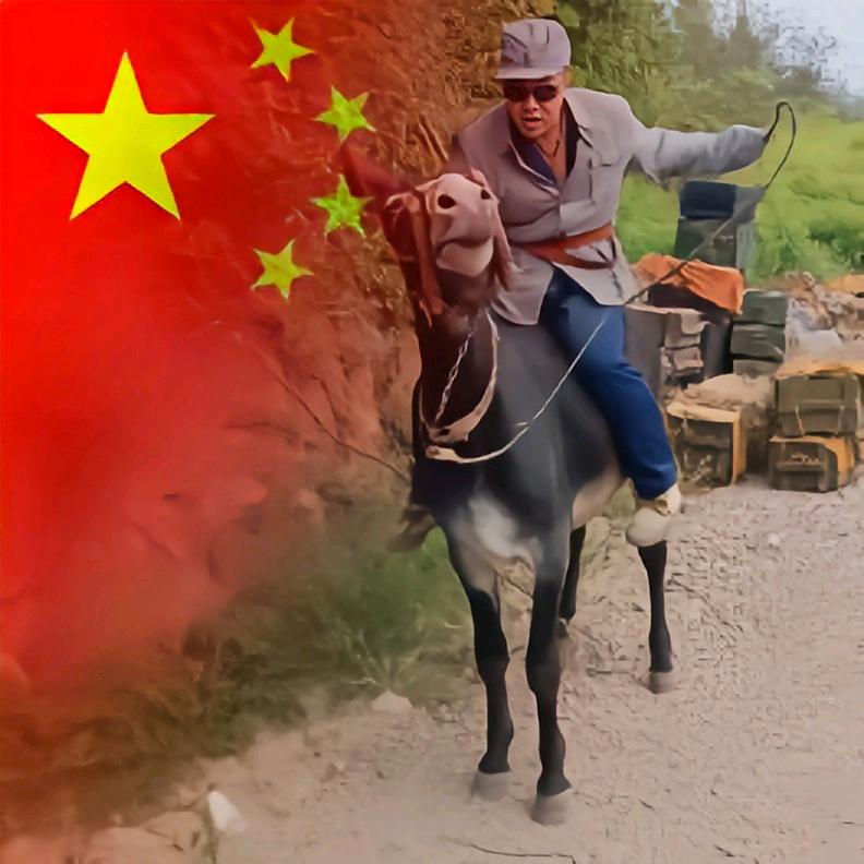 骑驴上高速