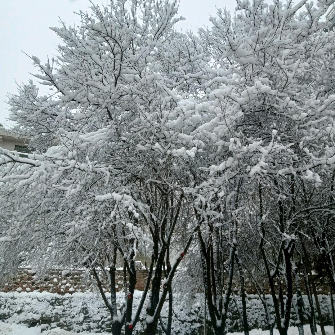彬州勇合建筑装修钢构彩钢