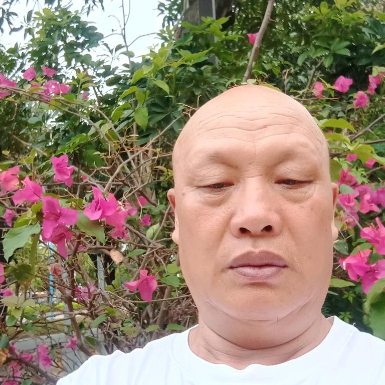 努力歌L光头歌7，晚上7点半直播，