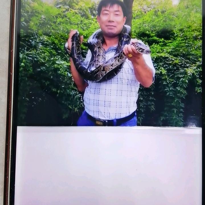 心想事成