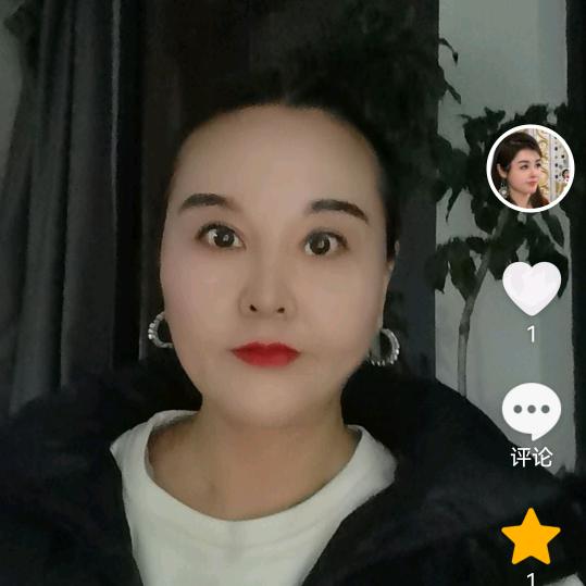 凤凤