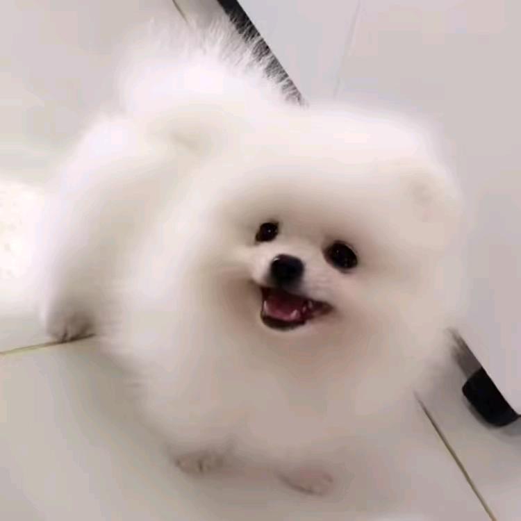 ℋღ᭄云飞🍒᭄💞࿐