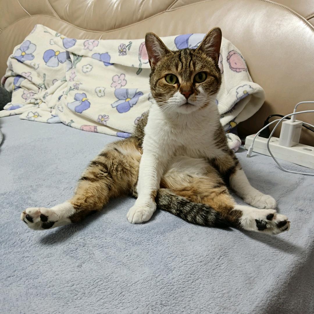 空闲时玩个毛线