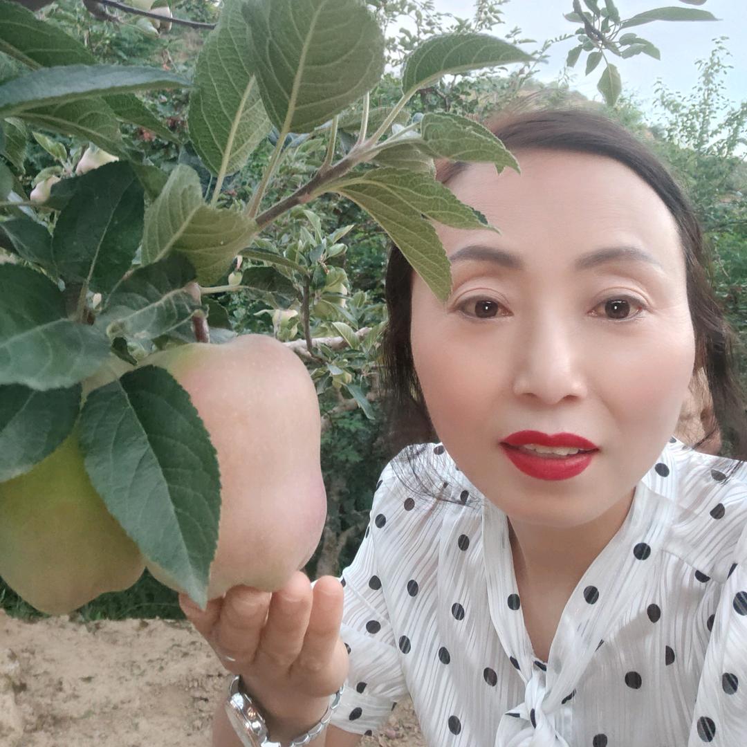 陇原归芪滋补养生堂