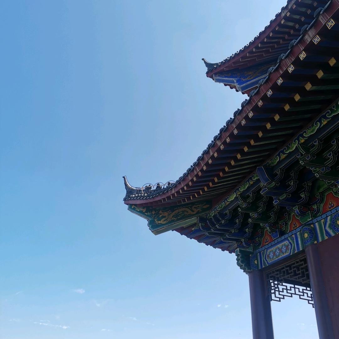 子不语的小伟