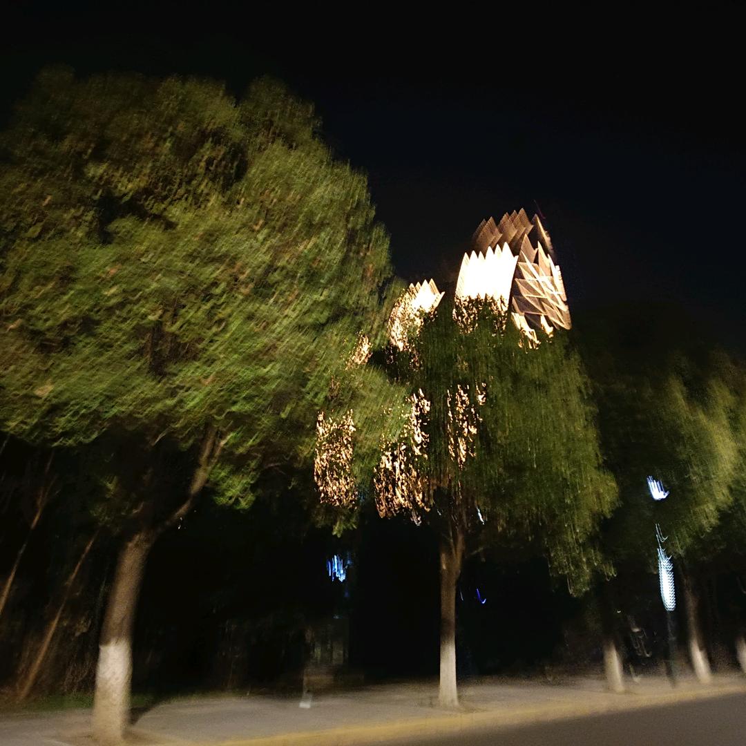 紫荆花