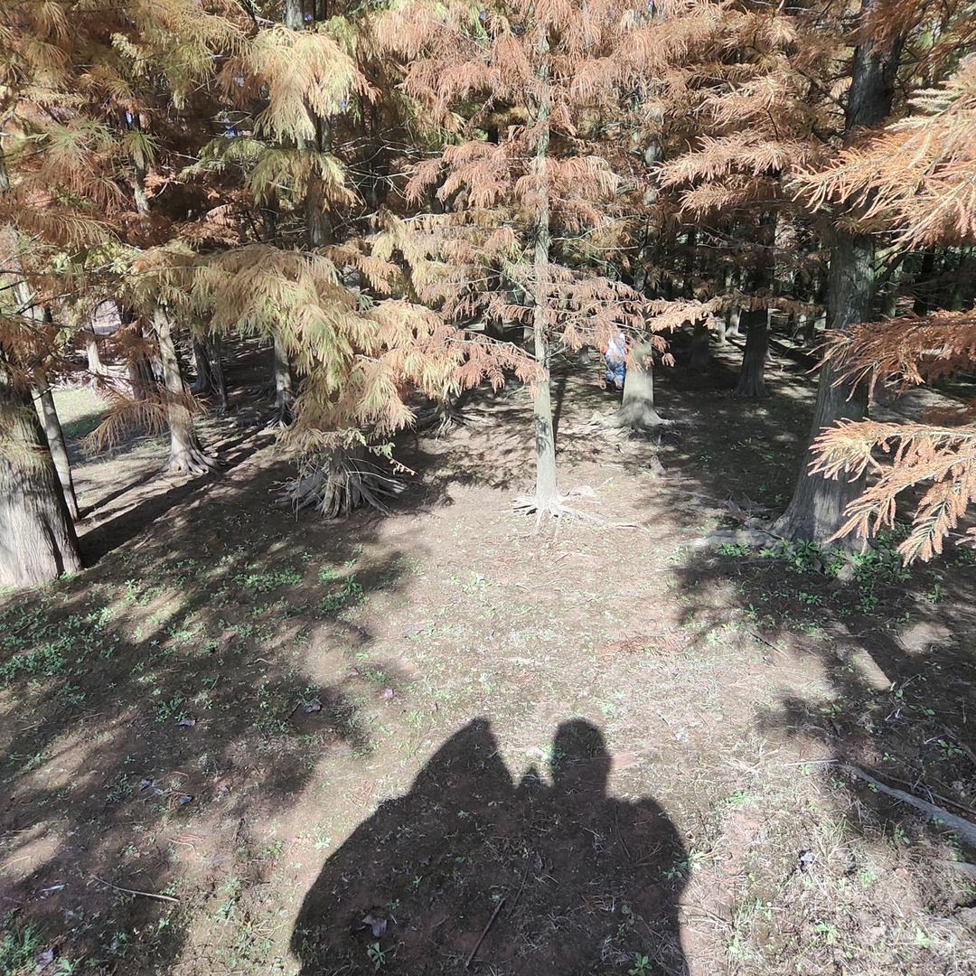 弋阳腔剧团  小王