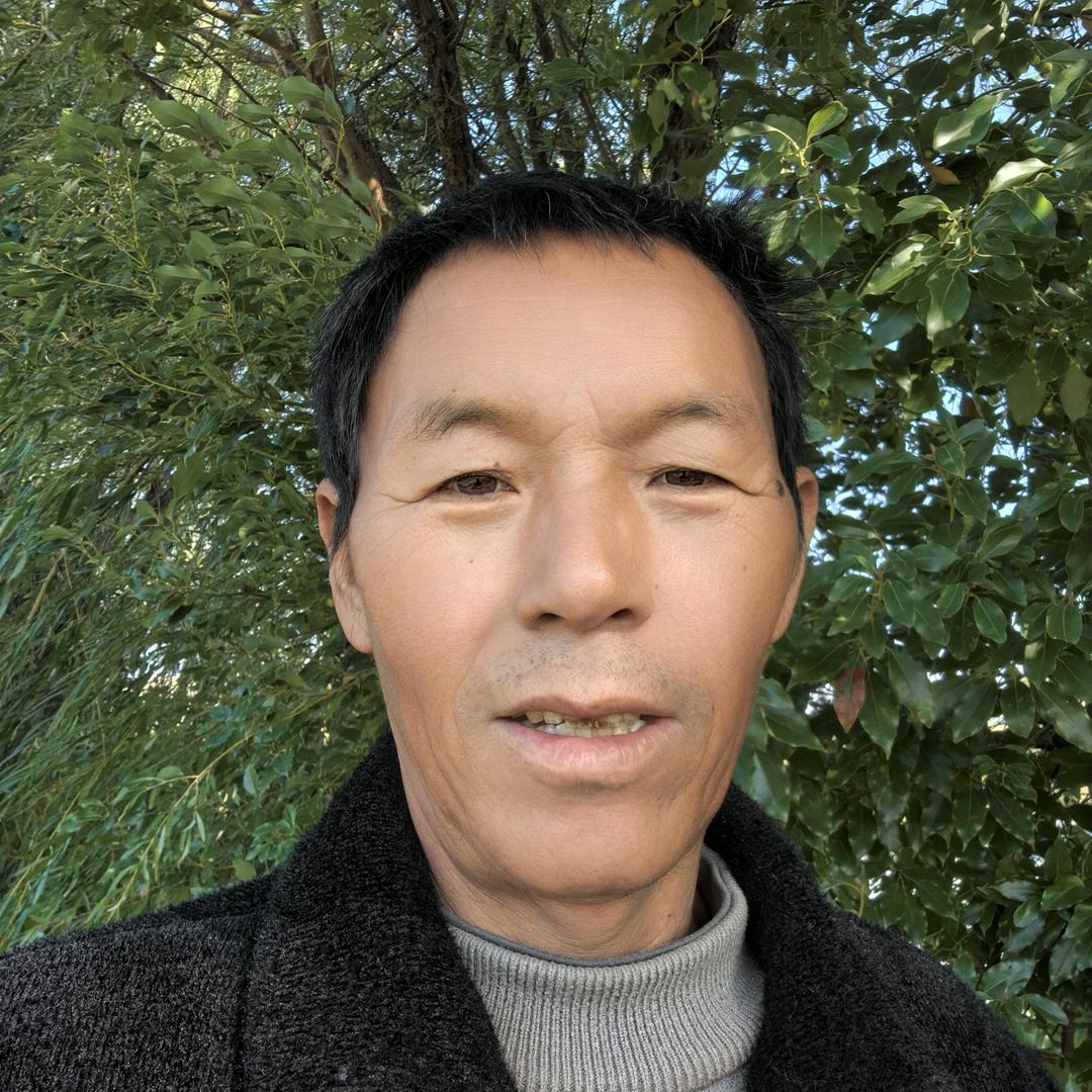 陈哥绿慕