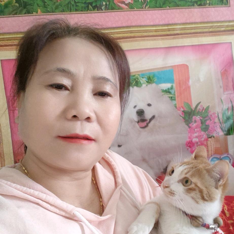 刘九妹🌺🌺🌺