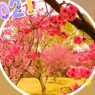 帝乡桃花源（枣阳胡坡）