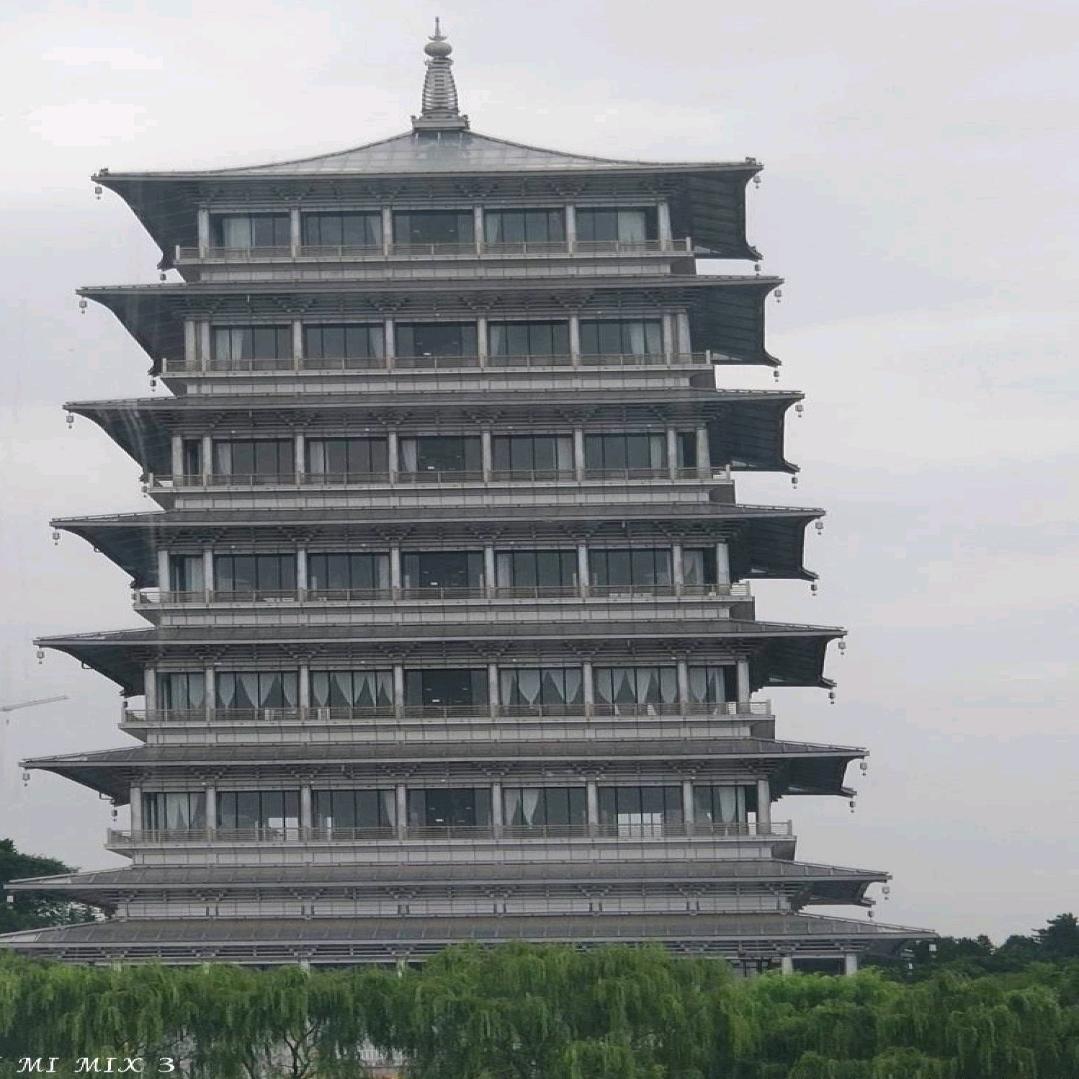雨后的春笋