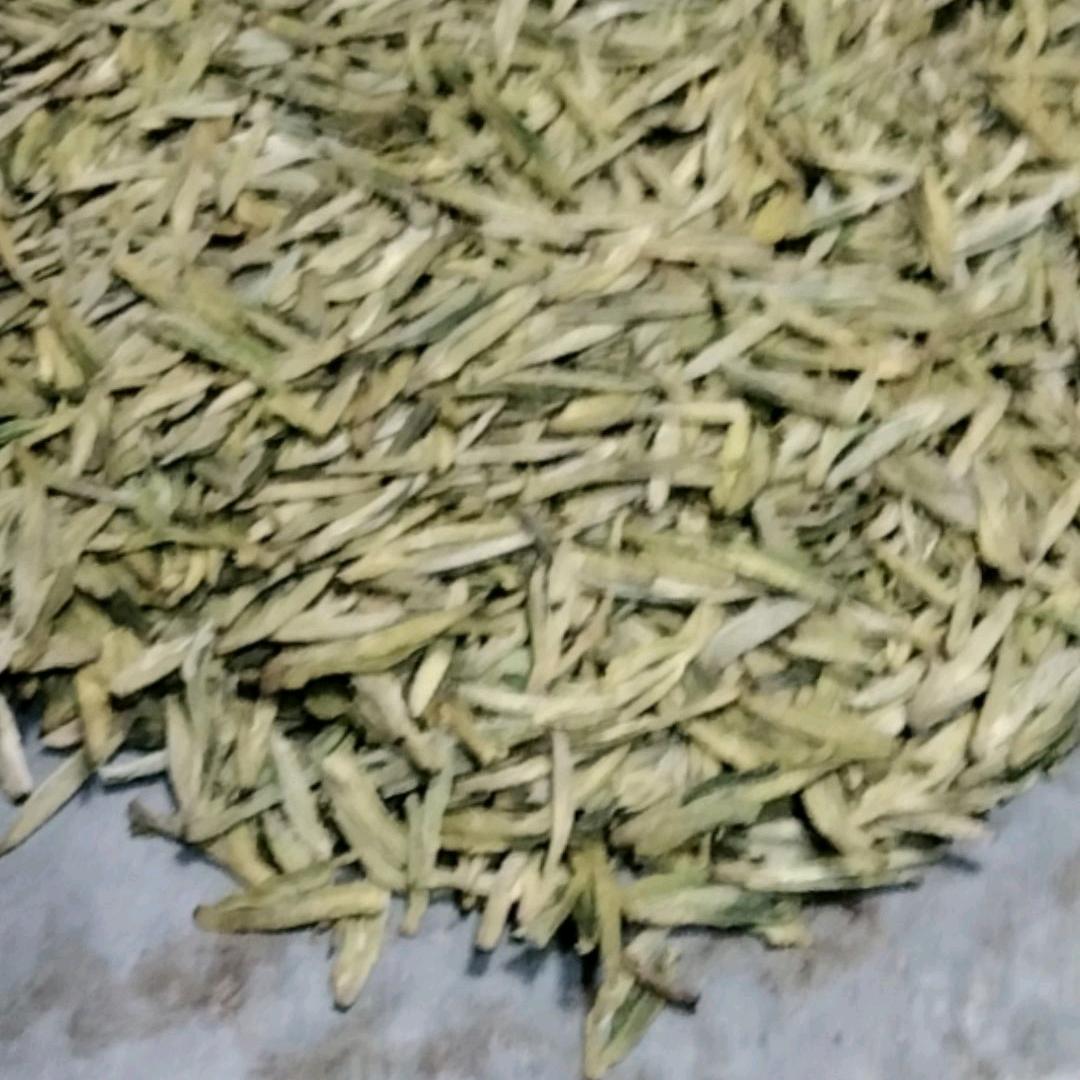 我爱我家