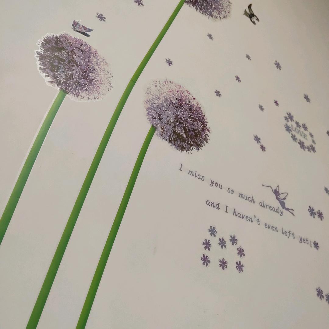 ㅤㅤ ㅤㅤㅤㅤ随心1029