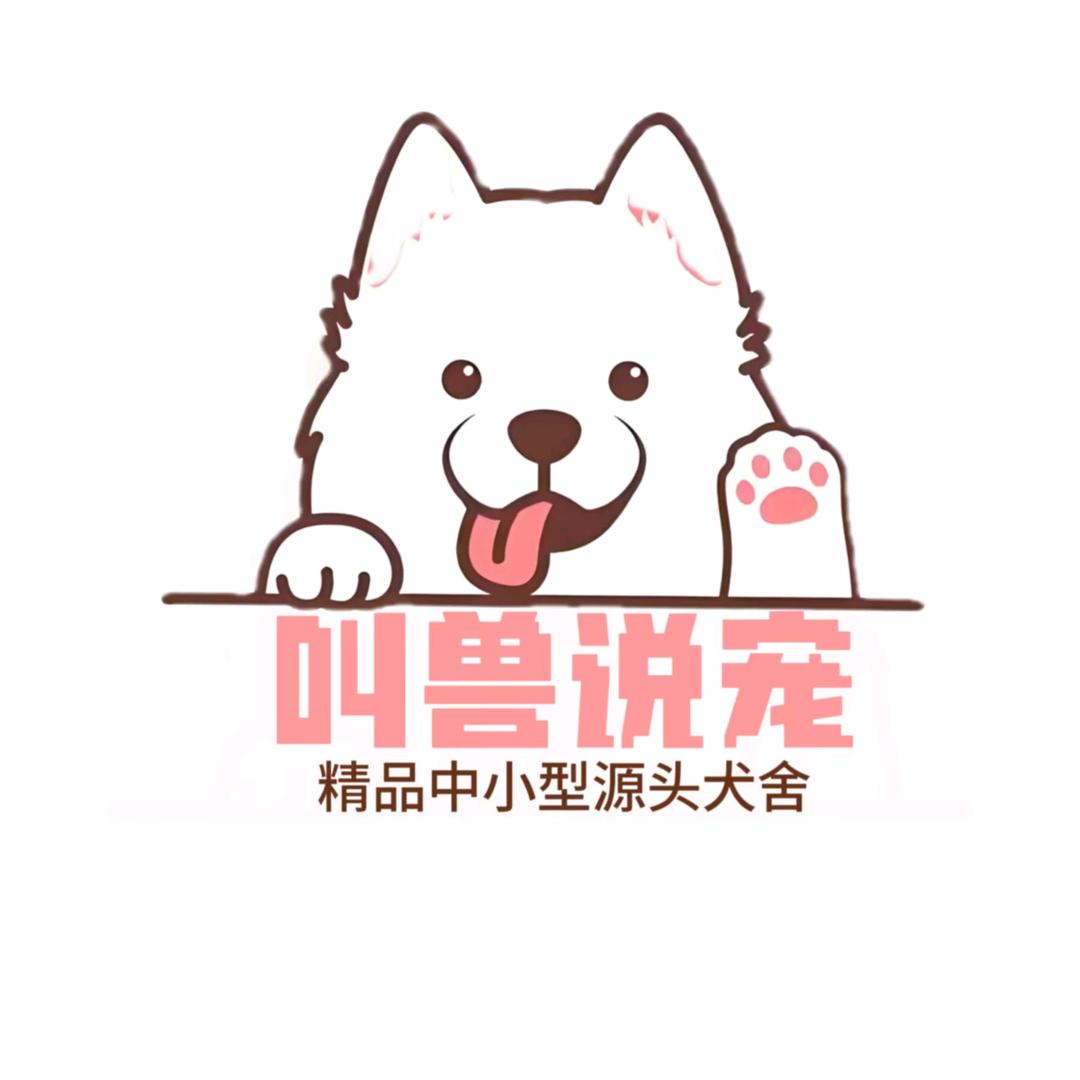 毛毛酱