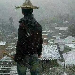 为你停刘
