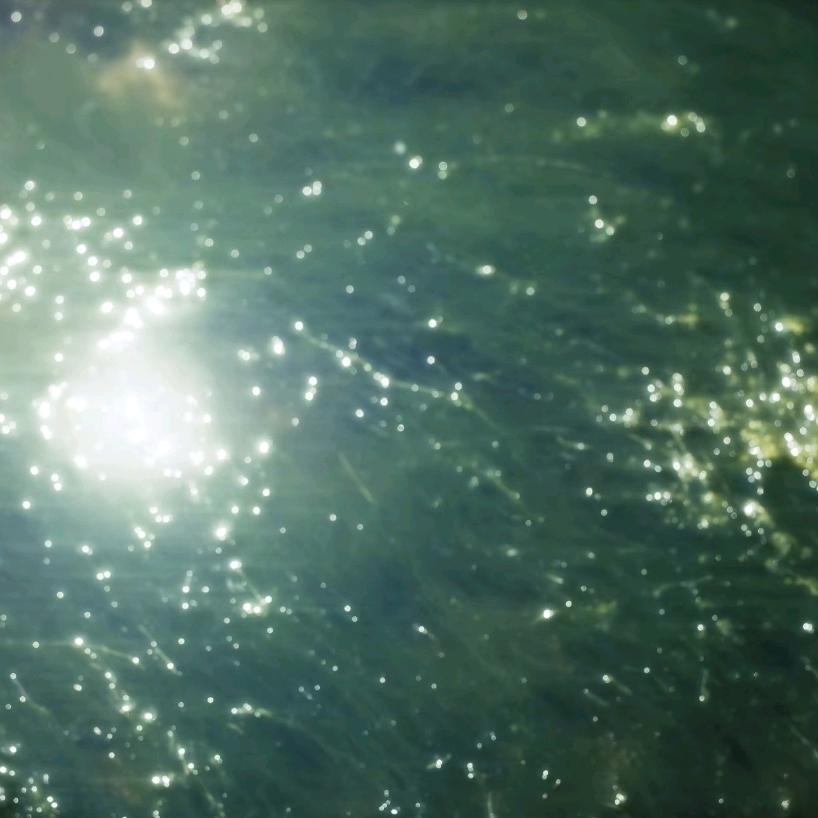 伤人的世界中二勇士扛世界