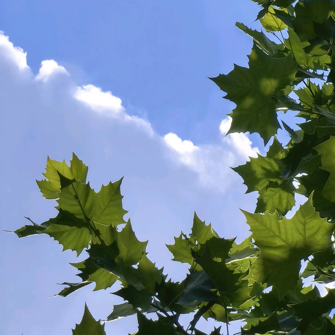 🇨🇳🇨🇳🇨🇳🇨🇳🇨🇳