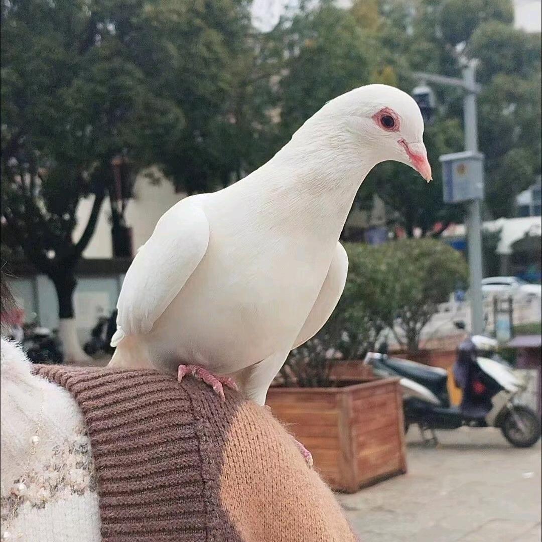 熟悉的陌生人🌻🌻🌻