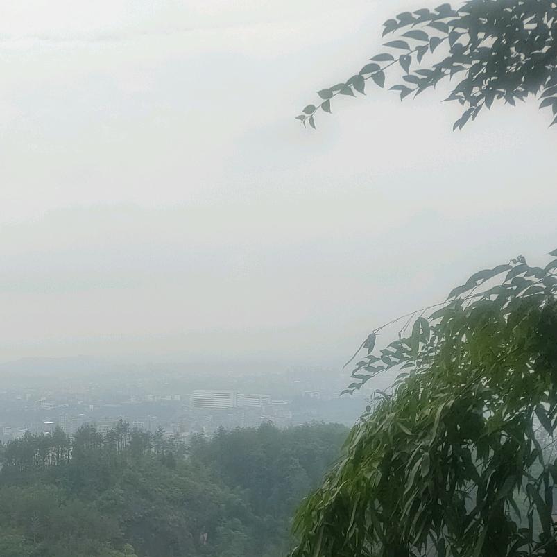 让梦飞翔