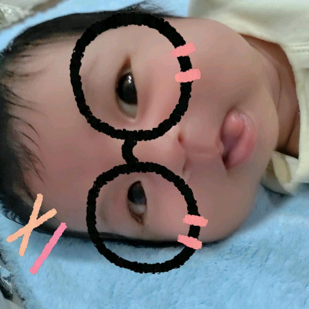 是柒宝宝吖