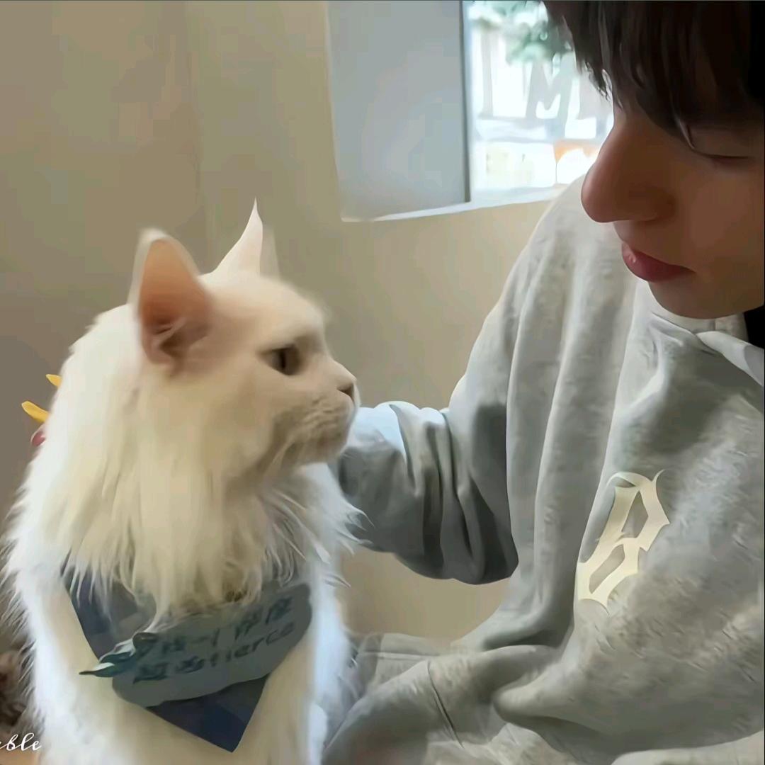 🌧️