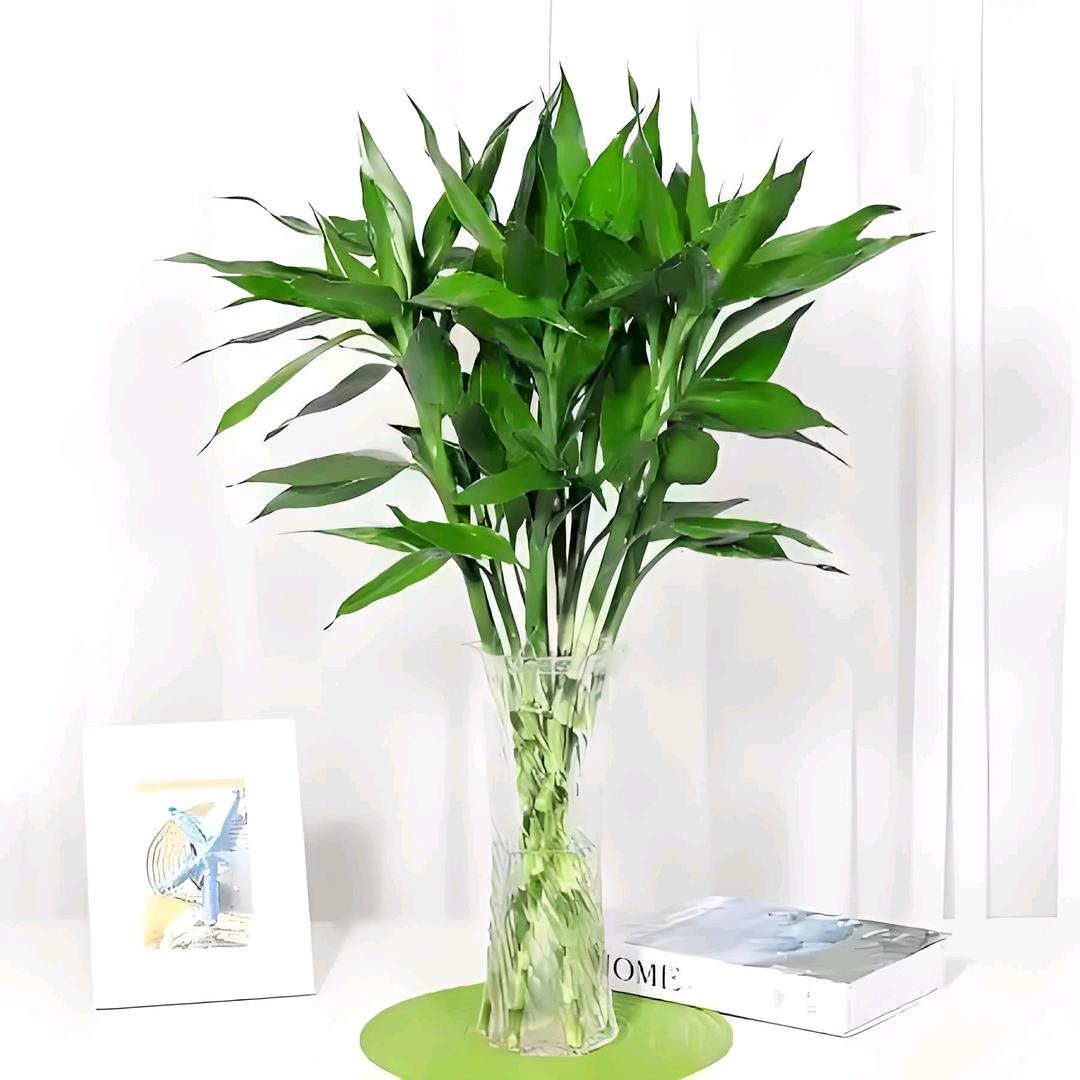 明厨多元好物小铺