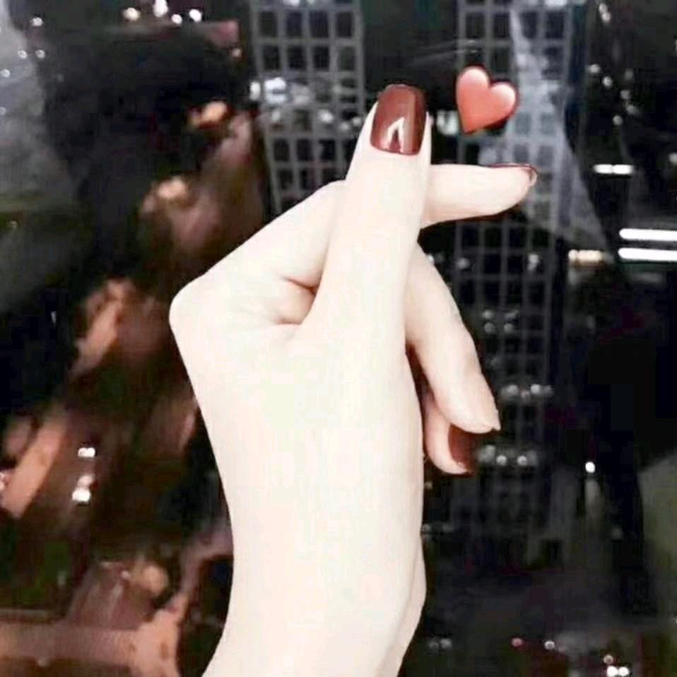 小懒猫儿