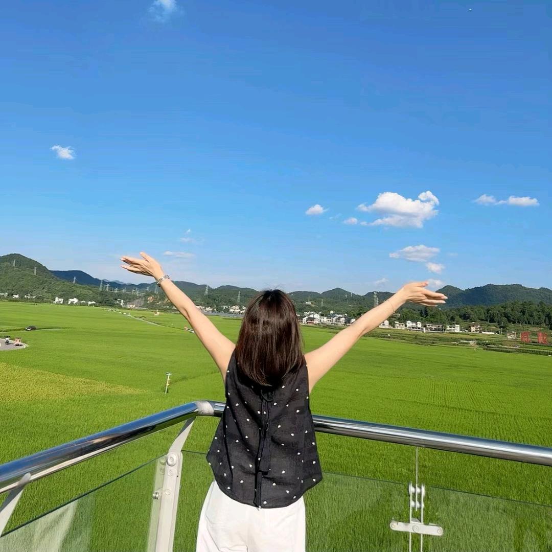 左右逢源