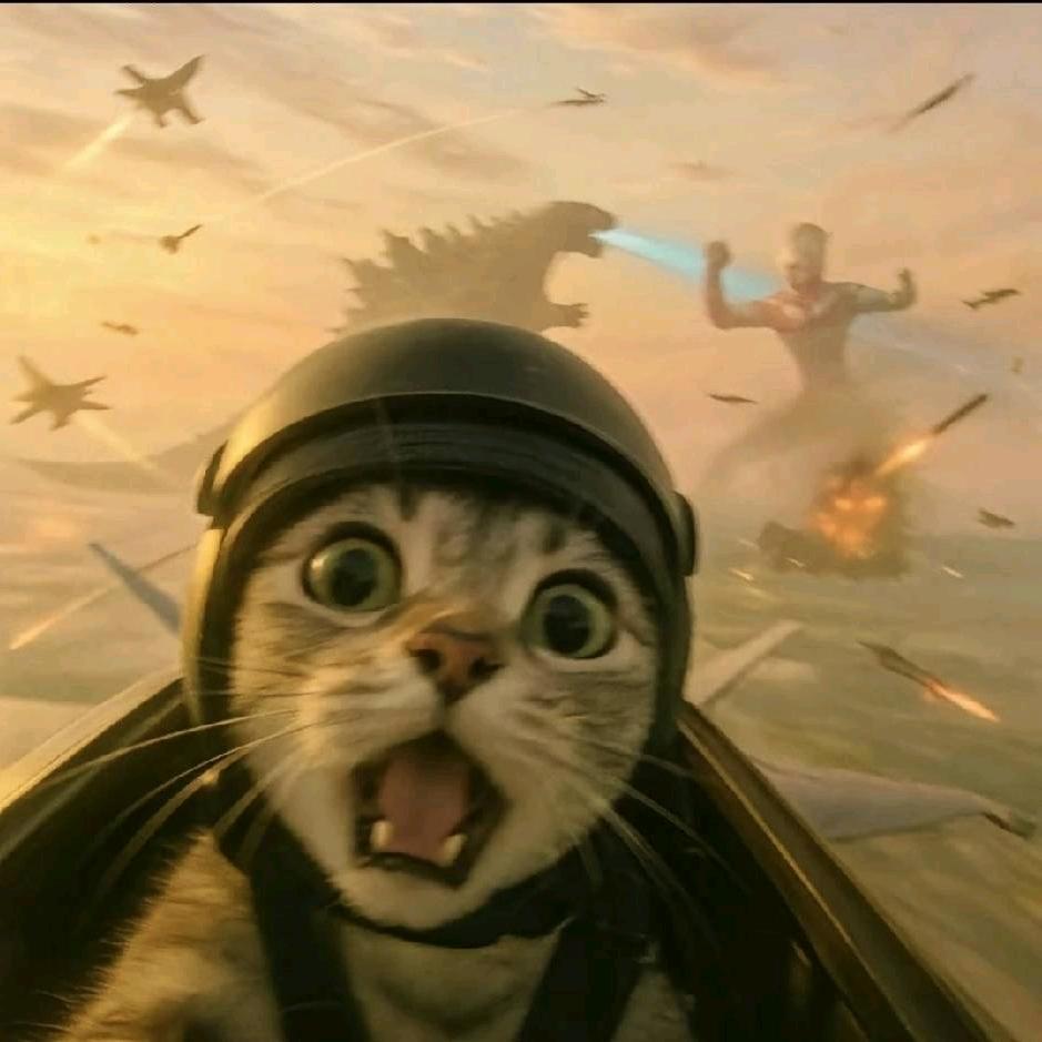 七彩阳光小白马