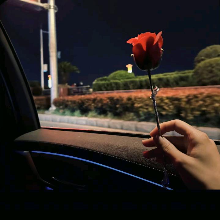 ༂不再໑期待࿐