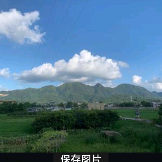 红线仙.