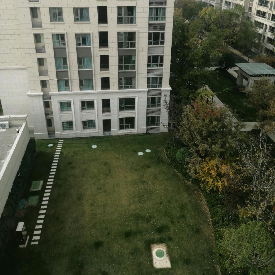 乔三少