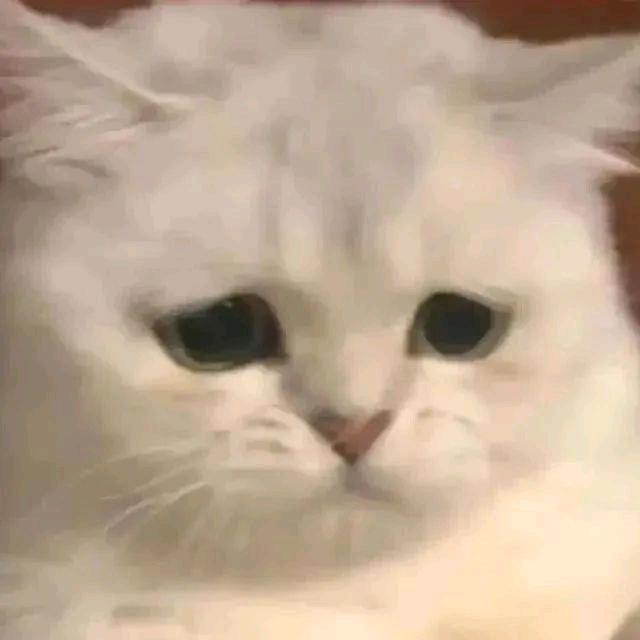 妙啊