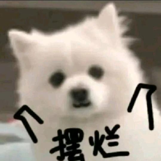 啊嘞嘞
